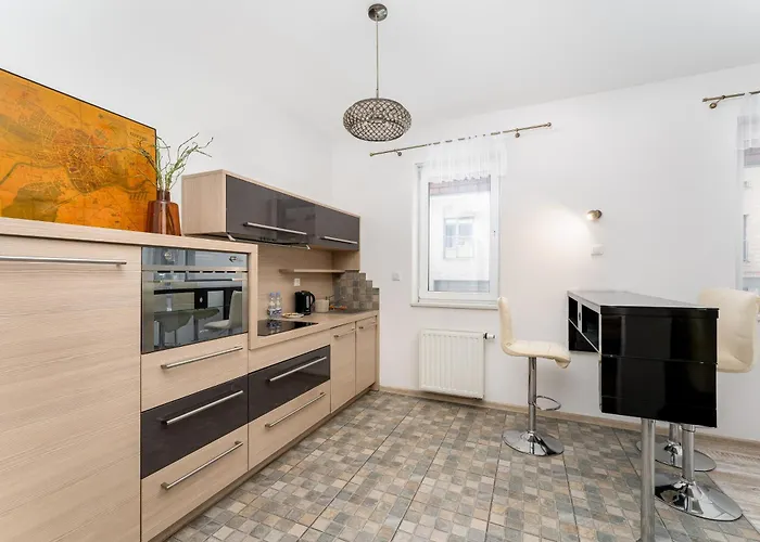 公寓 Nadwislanska 11 With Garden