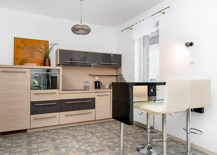 公寓 Nadwislanska 11 With Garden